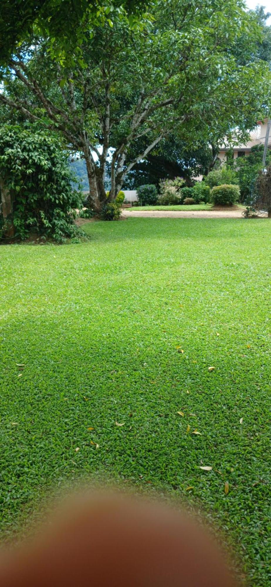 Apartament Knight'S Heaven Kandy Zewnętrze zdjęcie
